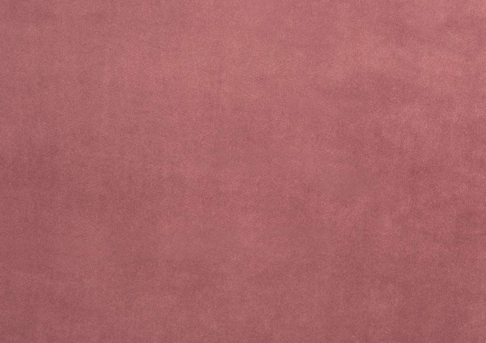 Belgravia, Blossom - Fabric Only - Image 3